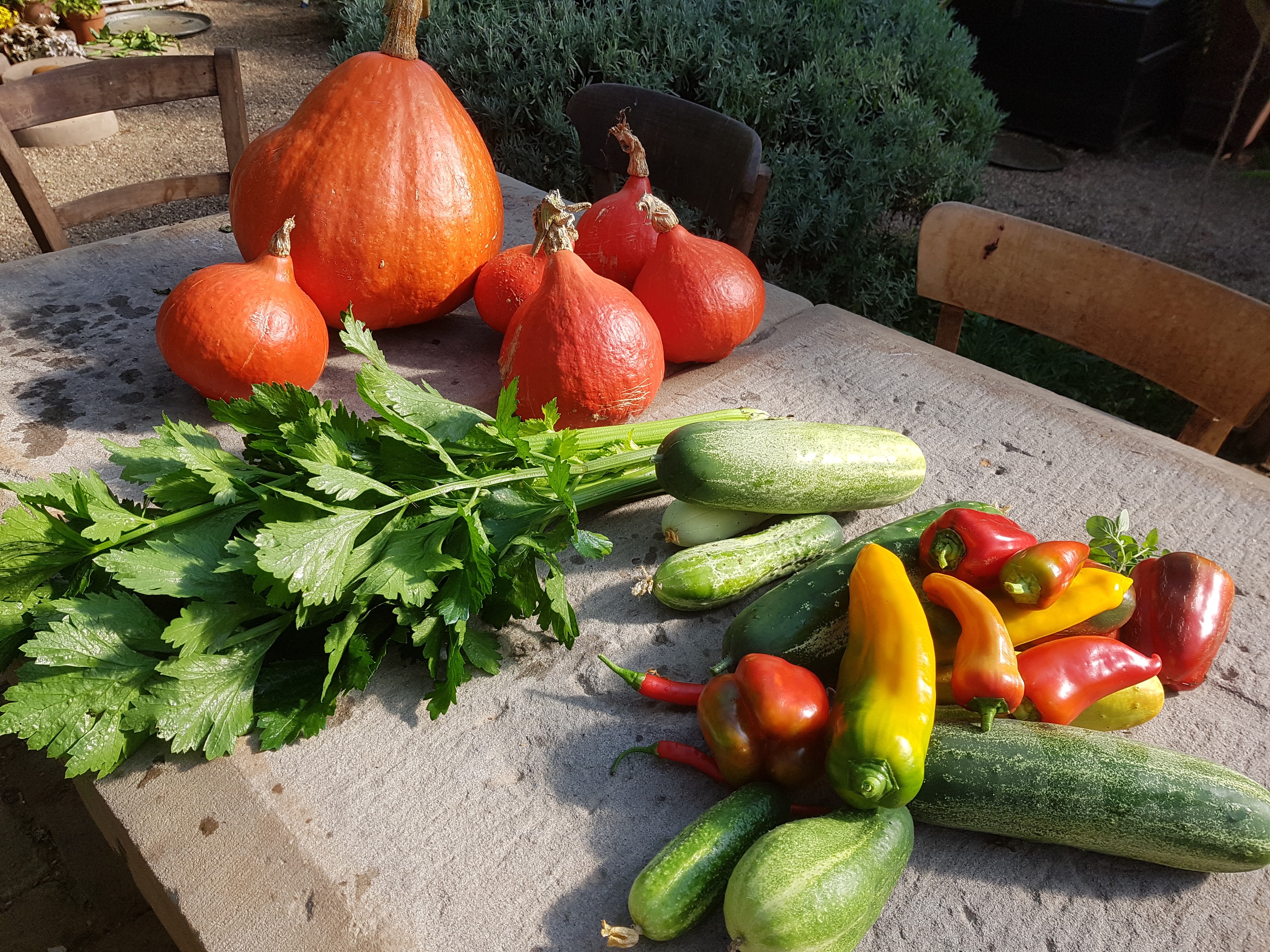 ernte-august ernte-august