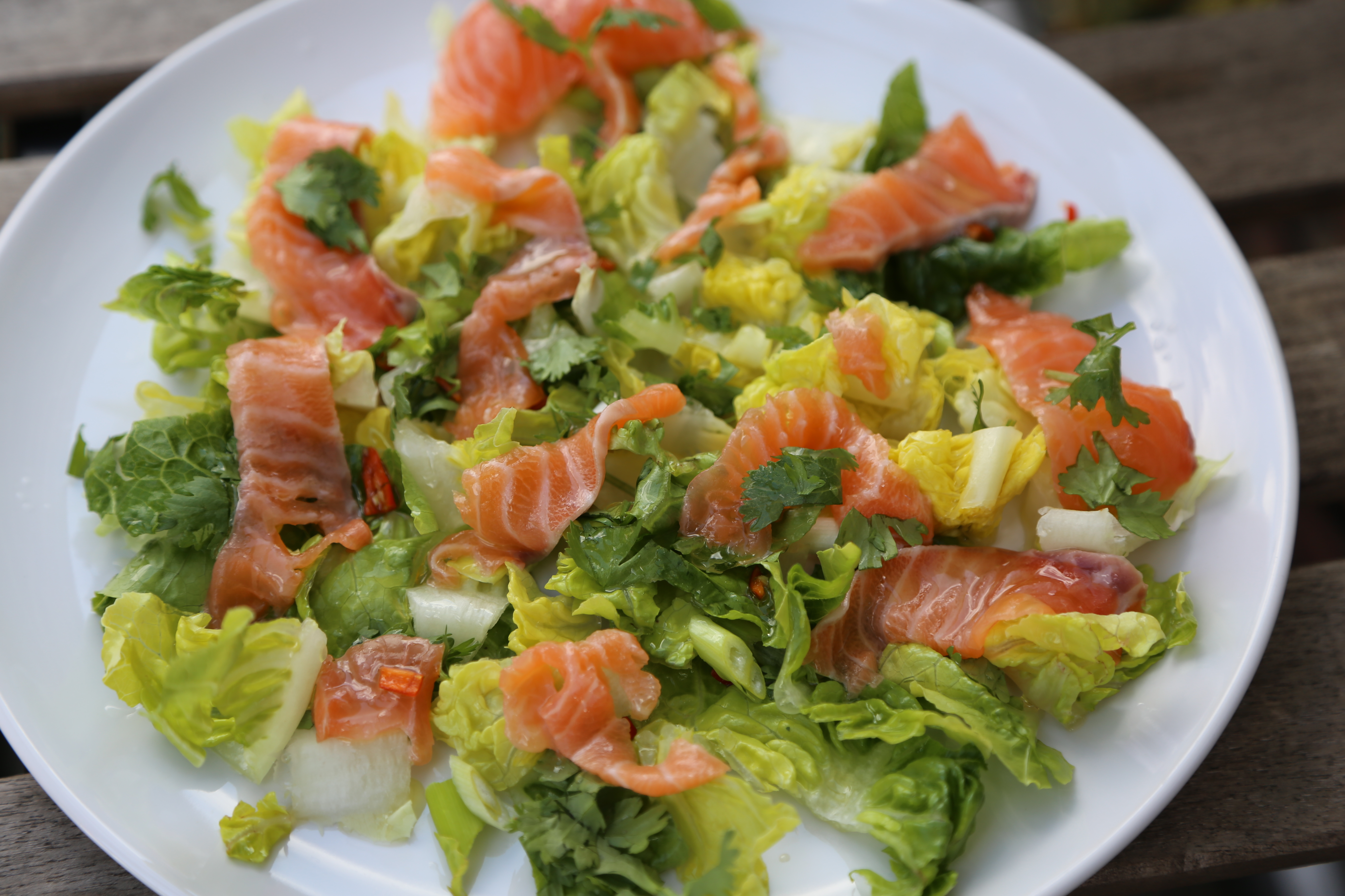 Kopfsalat mit Avocado, Lachs und Koriander